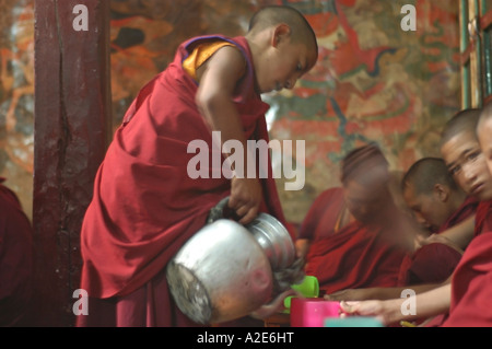 Inde Ladakh région Etat de Jammu-et-Cachemire monastère Spituk un jeune prêtre servant de la nourriture à l'heure des repas Banque D'Images
