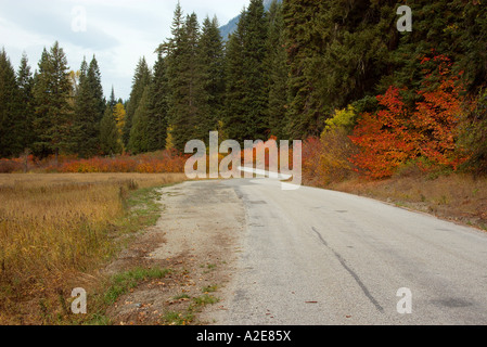 Les couleurs de l'arbre tournant le long d'une route à l'automne Banque D'Images