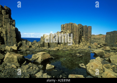 Structures colonnaires créé lors du refroidissement de la lave basaltique ère permienne près de Bombo Beach Kiama Illawarra New South Wales Australie Banque D'Images