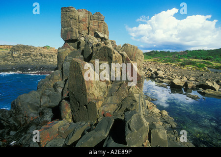 Structures colonnaires créé lors du refroidissement de la lave basaltique ère permienne près de Bombo Beach Kiama Illawarra New South Wales Australie Banque D'Images