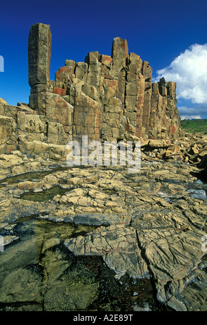 Structures colonnaires créé lors du refroidissement de la lave basaltique ère permienne près de Bombo Beach Kiama Illawarra New South Wales Australie Banque D'Images