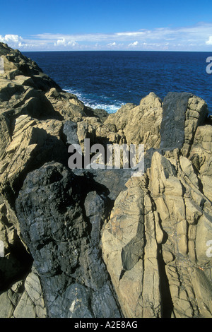 Ère permienne de lave de basalte avec une intrusion ou d'une digue de roche sombre près de Bombo Beach Kiama Illawarra New South Wales Australie Banque D'Images