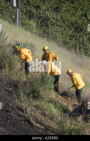 Les pompiers de creuser une tranchée à un feu de brousse Banque D'Images