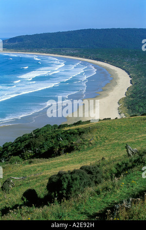 Tautuku Papatowai Bay près de l'Otago Catlins ile sud Nouvelle Zelande Banque D'Images