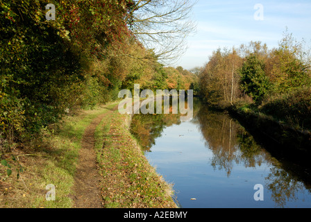 Une vue le long des Leeds/Liverpool canal entre Wigan et Adlington les couleurs d'automne sont en train de remplacer les verts de l'été. Banque D'Images