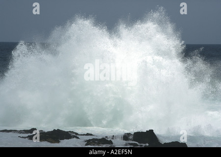 D'énormes vagues se briser à tempêtes Embouchure, Garden Route, Western Cape, Afrique du Sud Banque D'Images