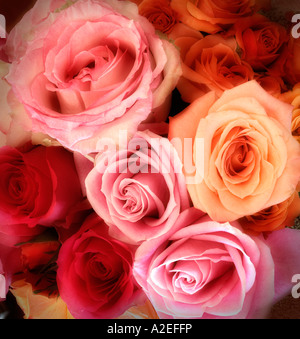 Le traitement artistique d'un arrangement de fleurs bouquet de rose Banque D'Images