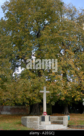 Monument commémoratif de guerre sous la forme d'une croix en face de Marronnier Aesculus hippocastanum arbres avec les feuilles d'automne Banque D'Images