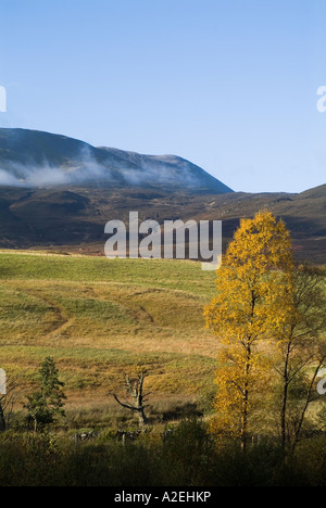 Dh Brae de Foss STRATHTUMMEL PERTHSHIRE Automne arbre couleur mist over Mountain Station House Banque D'Images