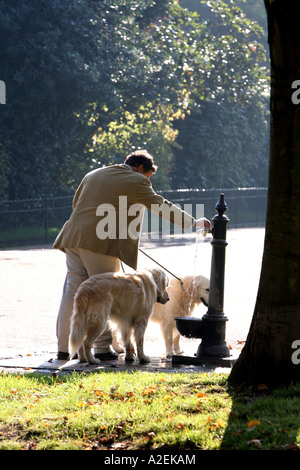 Les chiens homme donne un verre dans les jardins de Kensington Londres Banque D'Images