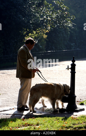 Les chiens homme donne un verre dans les jardins de Kensington Londres Banque D'Images