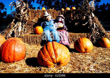 La Californie San Mateo Coast Half Moon Bay Festival Halloween Citrouille Octobre Banque D'Images