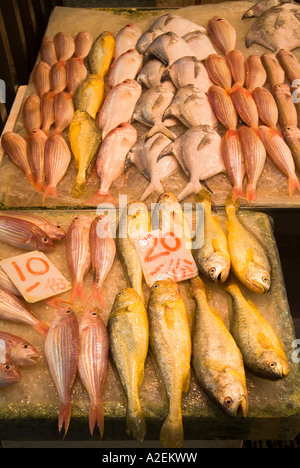 dh Chun Yeung Street Market HK NORTH POINT HONG KONG plaque de glace froide exposition de poissons frais humides à vendre étiquette de prix poissonnier Chine Banque D'Images