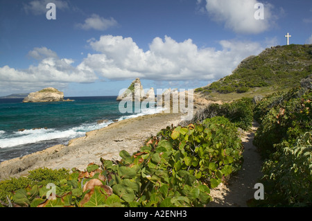 Dans les Antilles, de la Guadeloupe, Grande Terre, Pointe des Châteaux Banque D'Images