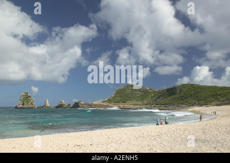 Dans les Antilles, de la Guadeloupe, Grande Terre, Pointe des Châteaux Banque D'Images