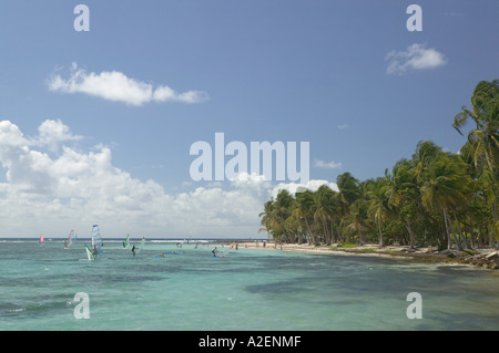 Dans les Antilles, de la Guadeloupe, Grande Terre, SAINTE ANNE : Caravelle Beach, planches Banque D'Images