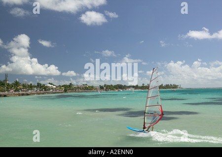 Dans les Antilles, de la Guadeloupe, Grande Terre, SAINTE ANNE : Caravelle Beach, les véliplanchistes (NR) Banque D'Images