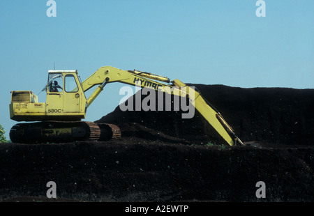 L'extraction de tourbe Shapwick Heath England UK Somerset Banque D'Images