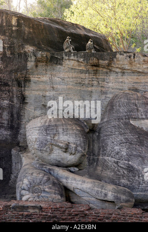 Sri Lanka voyage - Statue de Bouddha endormi avec des singes, les ruines antiques de Polonnaruwa, site du patrimoine mondial de l'UNESCO, Sri Lanka, voyage. Banque D'Images