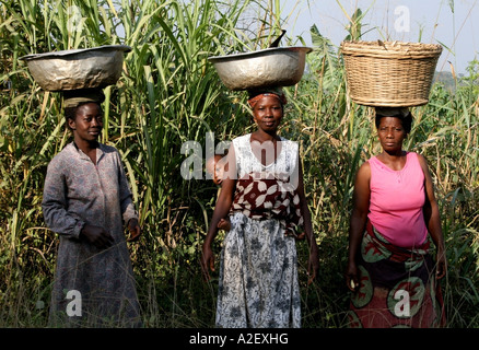 Les femmes togolaises trois bols portant sur leurs têtes , Mont Klouto, Kpalime, Togo Banque D'Images