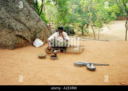 Charmeur de serpents, Sri Lanka Asie. Un charmeur de serpent charmant un cobra dans un panier et un boa constrictor ; Sri Lanka tourisme et voyage. Banque D'Images