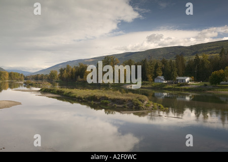 Le Canada, la Colombie-Britannique, Grindrod. La rivière Shuswap / Automne Banque D'Images