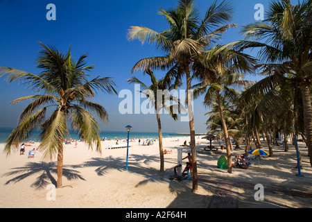 Dubai Jumeirah Beach park plam arbres Banque D'Images