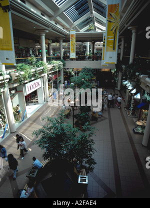 Boutiques et shopping, le centre commercial Metro Centre, Gateshead, Tyne et Wear, Angleterre, Royaume-Uni. Banque D'Images