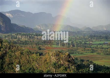 Les champs de tabac et de montagnes Mogotes, Vinales, province de Pinar del Rio, Cuba Banque D'Images