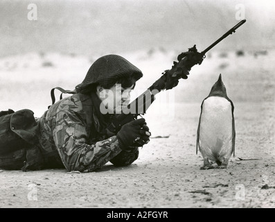 Un soldat britannique et penguin sur une plage dans les îles lors d'une patrouille en 1983 après la fin du conflit des Malouines. Banque D'Images