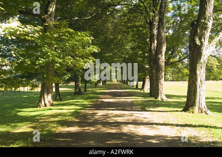 Le Springwood Estate, Franklin D. Roosevelt National Historic Site, Hyde Park, New York Banque D'Images