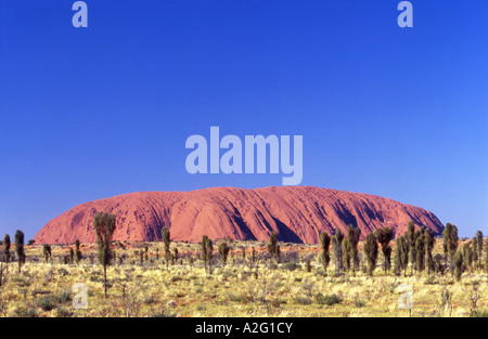 L'Uluru ou Ayers Rock Uluru Kata Tjuta National Park Australie Territoire du Nord Banque D'Images