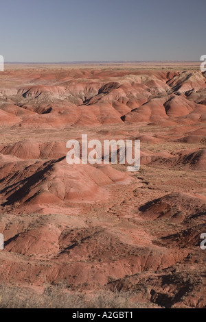 NA, USA, Arizona, forêt pétrifiée de NP Painted Desert Point Tiponi Banque D'Images