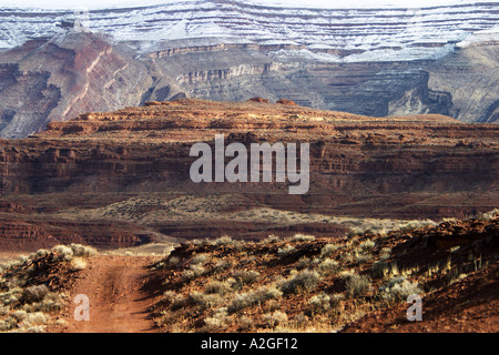 Dans la Vallée des Dieux près de Bluff Utah USA Banque D'Images