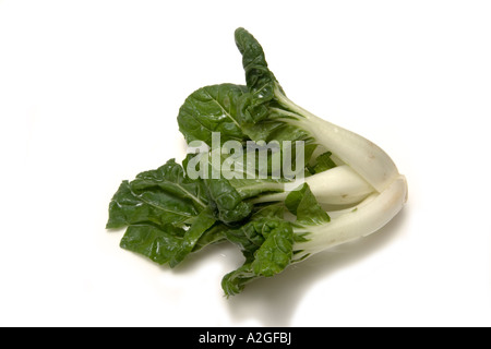 Pak choi isolated on a white background studio. Banque D'Images