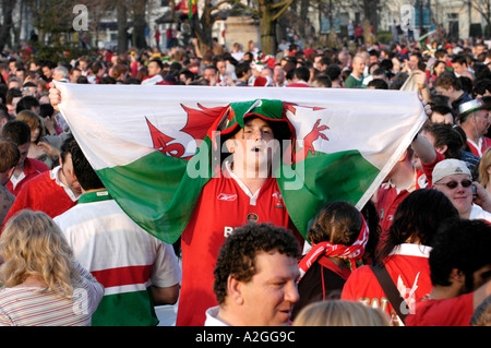 Fan de rugby gallois passionné enveloppé dans le drapeau national célébrer remportant un match international du pays de Galles à Cardiff au Pays de Galles du Sud Banque D'Images
