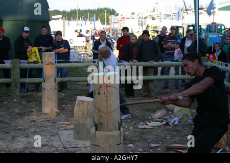 Concours de coupe de bois Banque D'Images