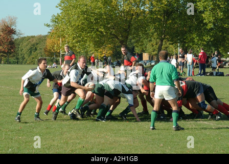 L'arbitrage de l'arbitre de l'équipe adultes amateur jeu rugby match player dans une mêlée éclate avec une balle sur un parc de sports locaux Brentwood Essex England UK Banque D'Images