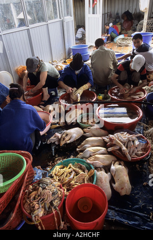 Volailles destinées à la vente, marché de Long Bien, Hanoi, Vietnam. À partir de la page sur la grippe aviaire en Asie. Banque D'Images