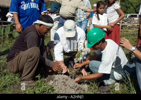 Australian Mining co la plantation pour aider la communauté locale, du Sud, de Tampakan Cotobato, Mindanao, Philippines du Sud. Banque D'Images