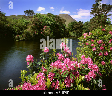 IE - Cie. Galway : Lough Fee dans le Connemara Banque D'Images