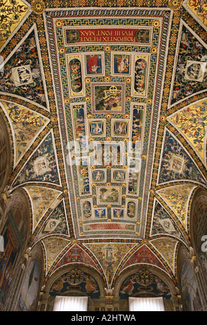 Les fresques de Pinturicchio et le toit à l'intérieur de la Bibliothèque Piccolomini au Duomo, à Sienne, Toscane, Italie centrale Banque D'Images