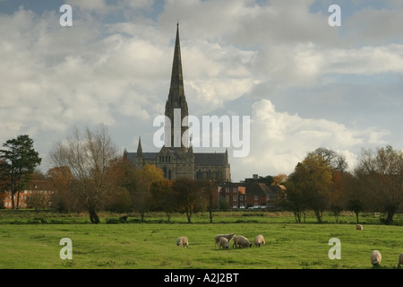 Vue sur la cathédrale de Salisbury à travers l'eau meadows Banque D'Images
