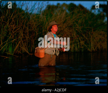 Concentrés de pêcheur comme il jette sa ligne tout en se tenant la cuisse profondément dans un ruisseau Banque D'Images