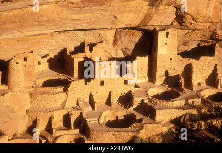 USA Colorado Mesa Verde National Park Cliff Palace Cliff dwellings de l'Anasazi A D 1200 Banque D'Images