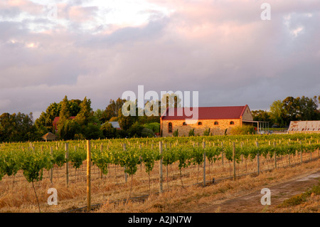 Bâtiment en pierre à côté de vignes dans la région de Barossa Valley, Australie Banque D'Images