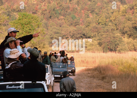 Bandhavgarh Nat'l Park, Khajuraho, Madhya Pradesh, Inde. Caravane de l' Banque D'Images