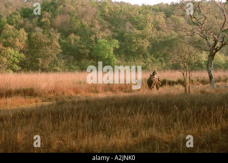 Bandhavgarh Nat'l Park, Khajuraho, Madhya Pradesh, Inde. Mahout sur Elephant Banque D'Images