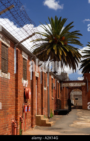 Razorwire, constitutionnel Hill, Johannesburg, Afrique du Sud. Banque D'Images