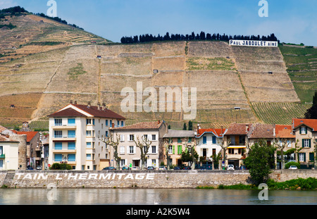 La ville Tain l'Hermitage, le côté de la rivière, le fleuve Rhône. Le nom de la ville peint en grandes lettres blanches l'Ermitage vignes sur la colline derrière la ville de Tain-l'Hermitage, sur la colline en pente raide, en terrasses en pierre. Parfois orthographié Ermitage. Un signe avec Paul Jaboulet dans le vignoble de Tain l'Hermitage, Drôme, Drôme, France, Europe Banque D'Images